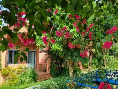 An An Boutique Homestay Phú Quốc