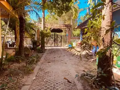 Duke Bungalow