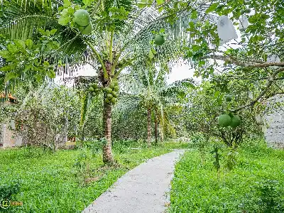 Sản phẩm