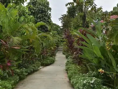 Rainforest Resort Phu Quoc