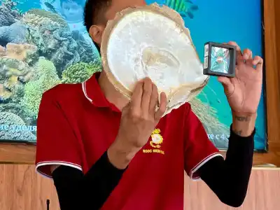 Tour tham quan Nam đảo