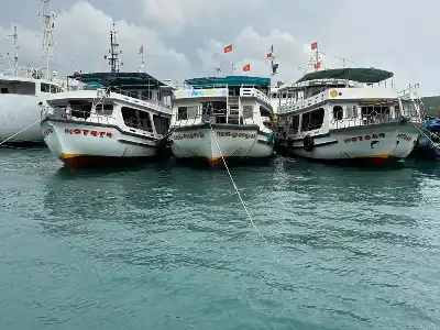 Tour ngắm hoàng hôn trên biển và câu mực đêm