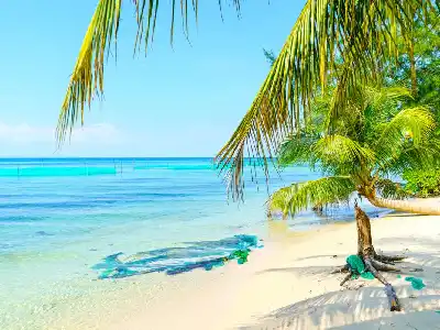 Tour Nam Đảo + Cáp Treo