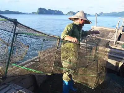 Tour Bãi biển sao biển Rạch Vẹm