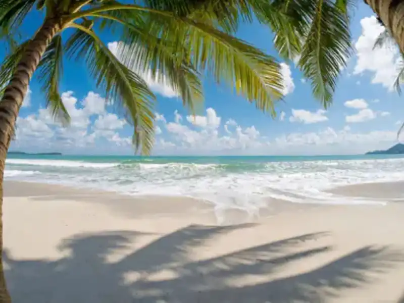 South Phu Quoc Tour