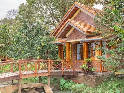 Cottage Garden View